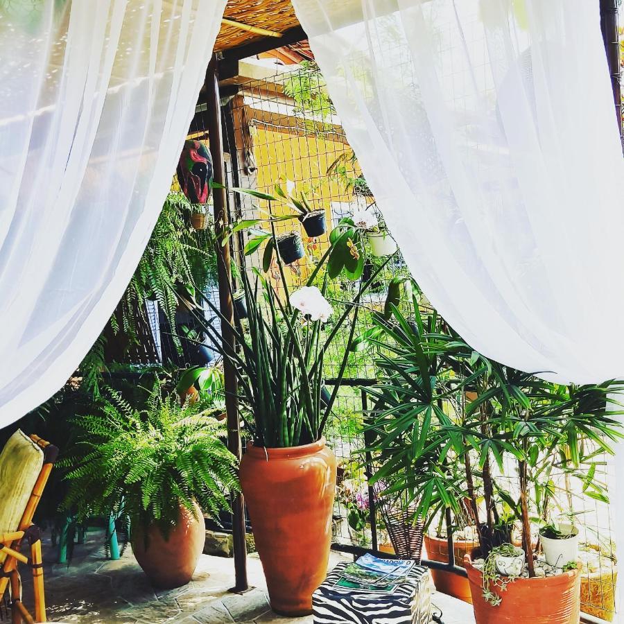 Recanto Toca das Plantas de Ilhabela II Exterior foto