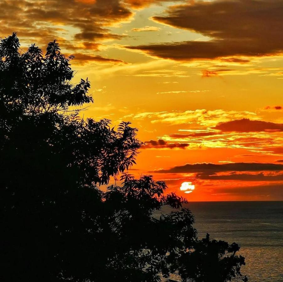 Recanto Toca das Plantas de Ilhabela II Exterior foto